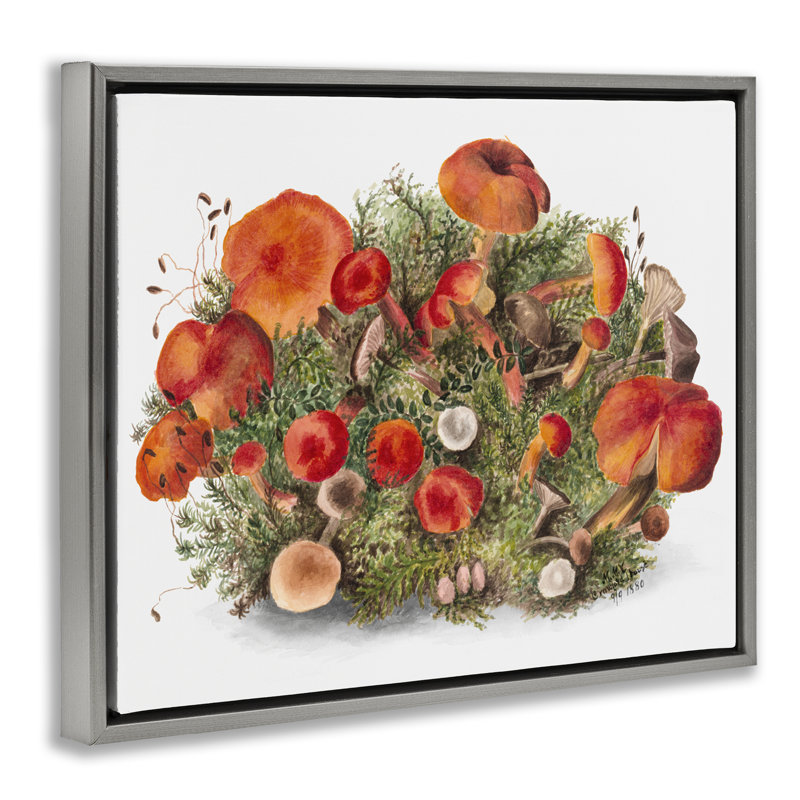 Cadre flottant Earthy, Cadre flottant gris lustré, H 17 po x l 21 po