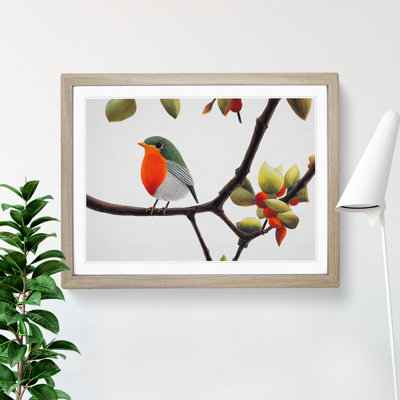 Captivating Robin Bird - Framed Print