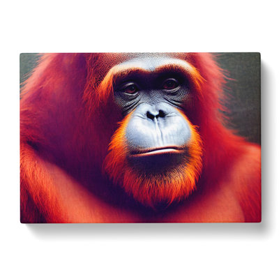 The Calming Orangutan - Wrapped Canvas
