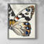 ANIMALS Series CECLII - Impression encadrée de qualité supérieure - Prêt à être accroché - Aucun clou requis-1943990585-1943990587