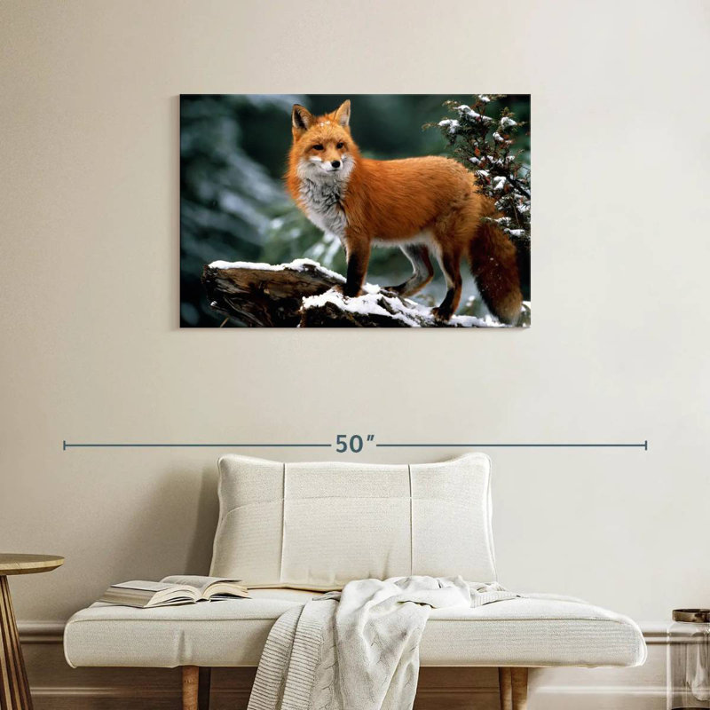 Furry Winter Fox, 24" H x 36" W