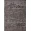 Rapture Abstract Area Rug in Gray-1859863637