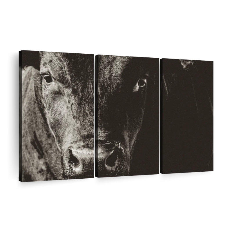 Black Angus Bull 3 pièces, H 48 po x l 74 po x P 1,25 po