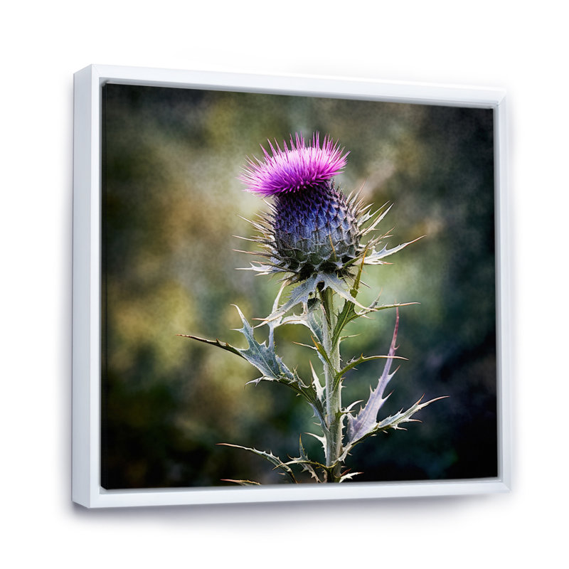 Mauve, vert, chardon, chuchotement, plante, V, H 24 po x l 24 po x P 1 po, Cadre flottant blanc