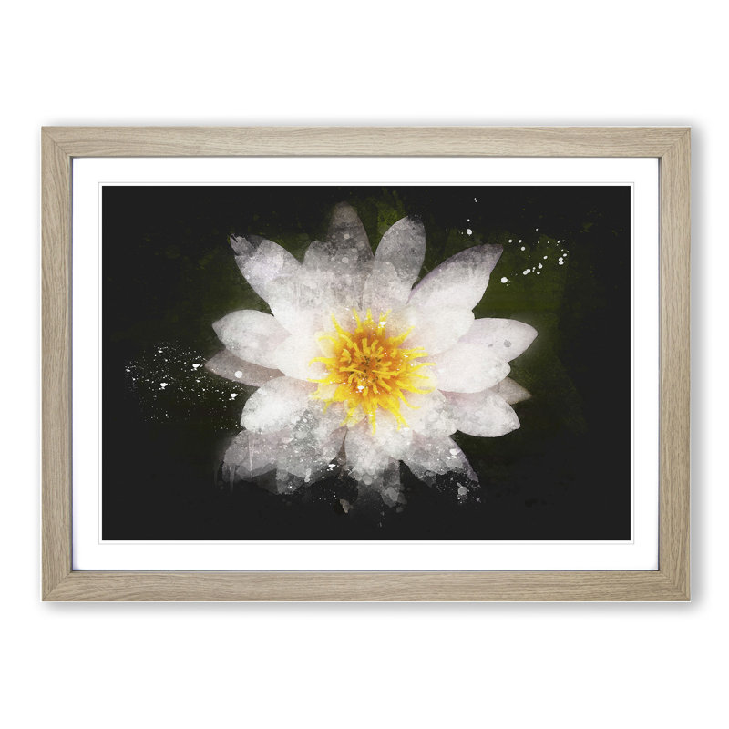 White Lily Flower - Picture Frame Graphic Art, 27cm H x 36cm W x 2cm D, Oak Framed