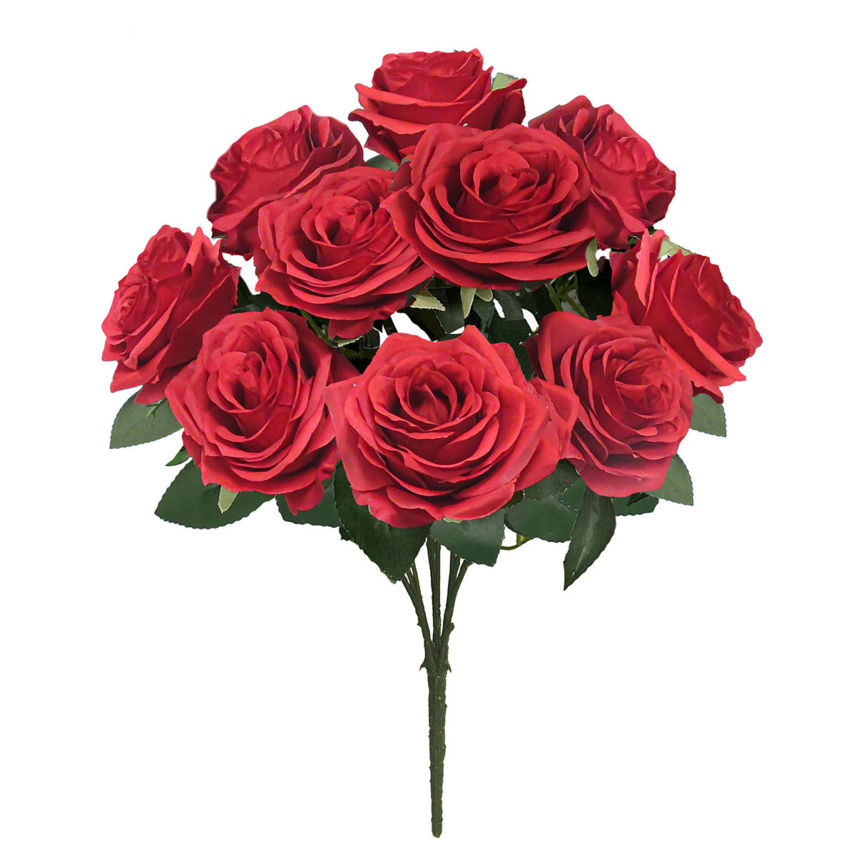 Lark Manor™ Jaafer Deluxe Queen Rose Bush & Reviews | Wayfair