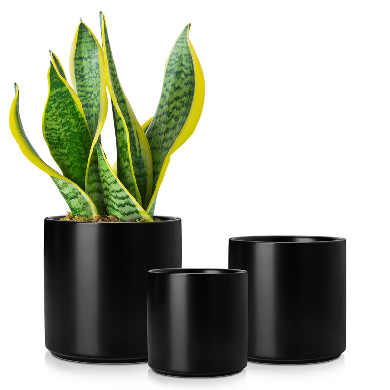 ZTHPOT Ceramic Pot Planter, Black