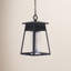 Becca Outdoor Hanging Lantern