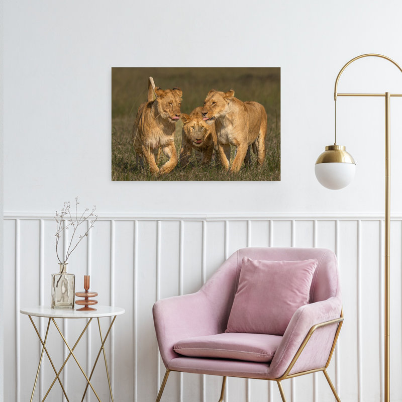Print, 60.96cm H x 91.44cm W