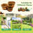 Bostow Set Of 3 Round Barrel Planter-1617013609