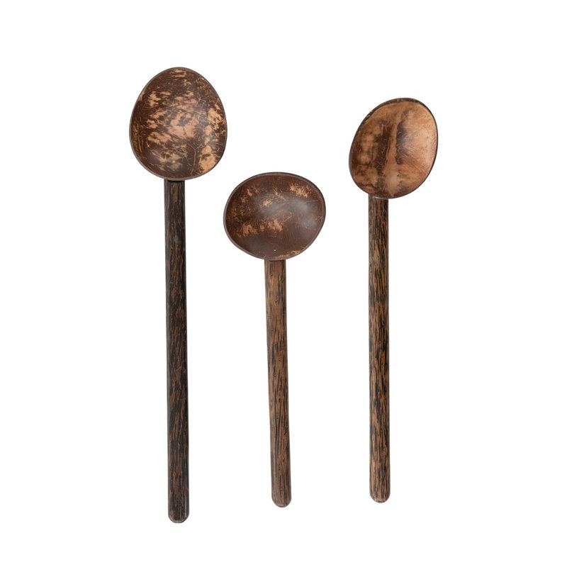 Cuillère à noix de coco avec poignée en bois de manguier, ensemble de 3 styles
