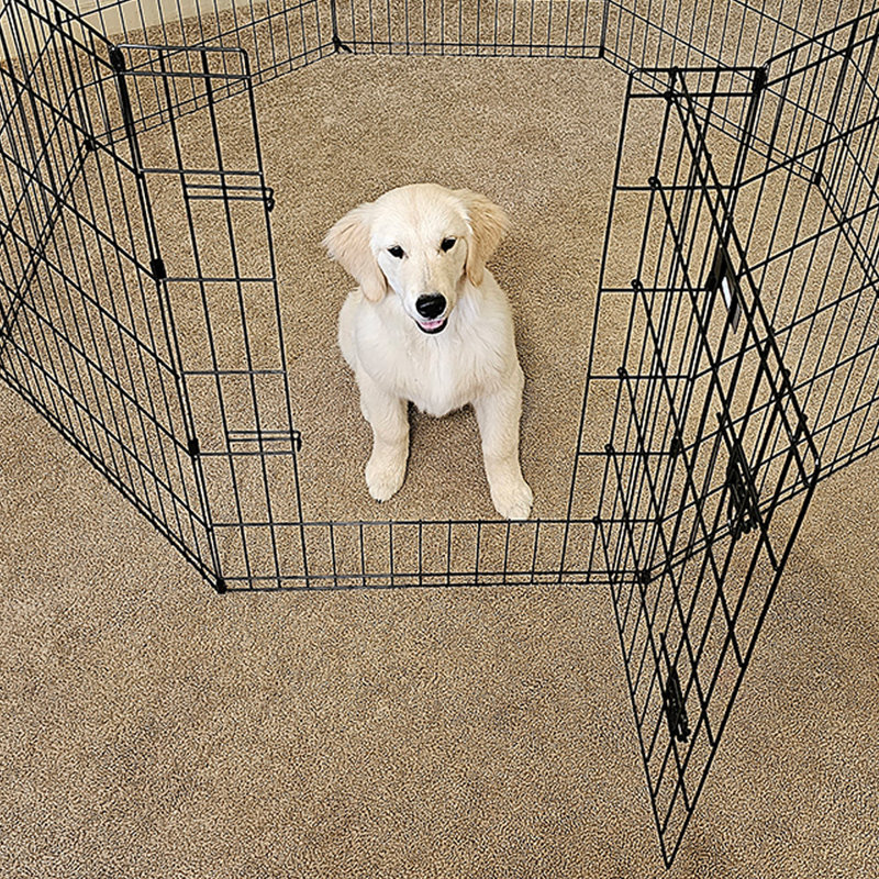 Lucky Dog 48" Black Metal Exercise Pen with Stakes