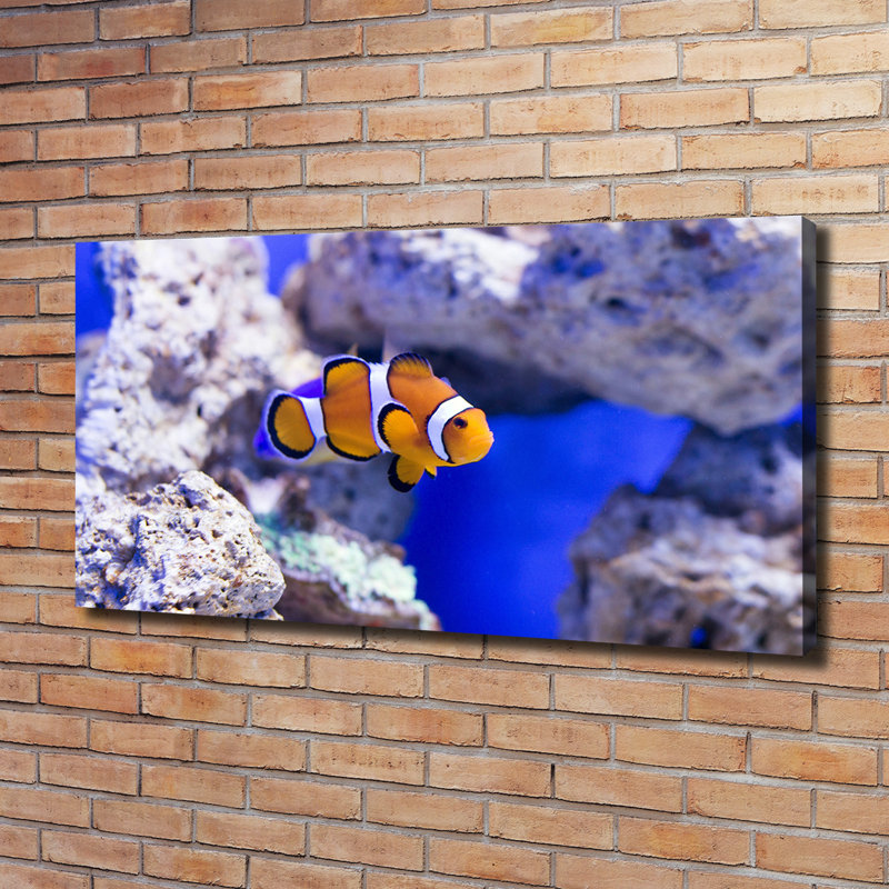Clown Fish - Wrapped Canvas Print