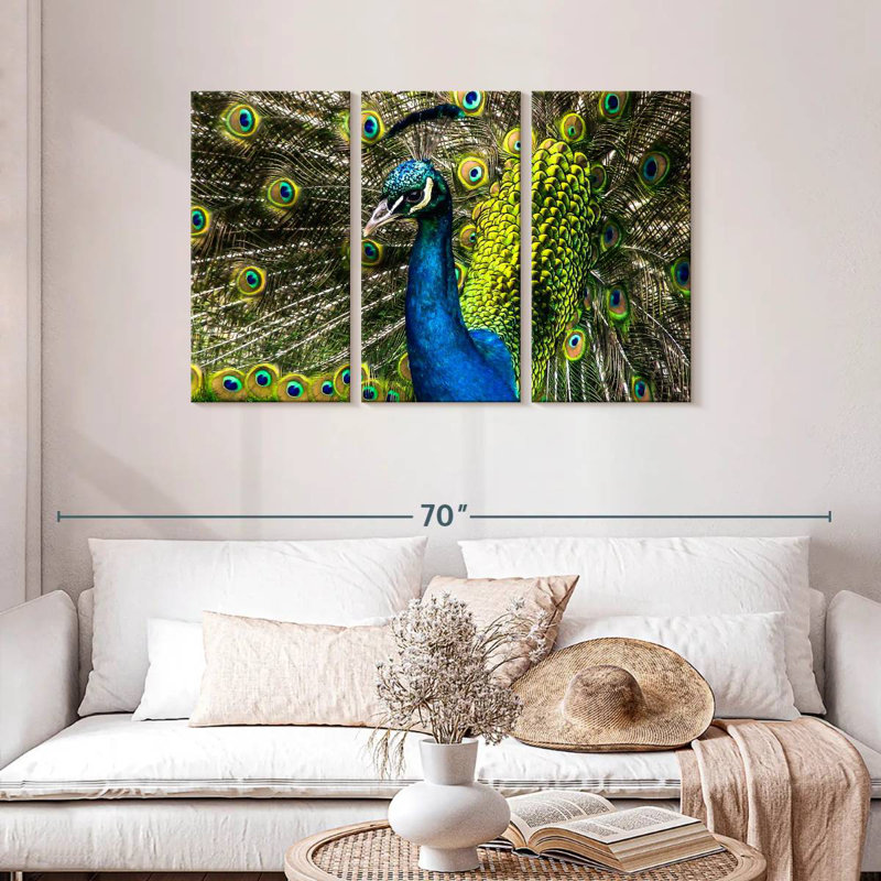Brampt Peacock's Pure Beauty, 28" H x 45" W