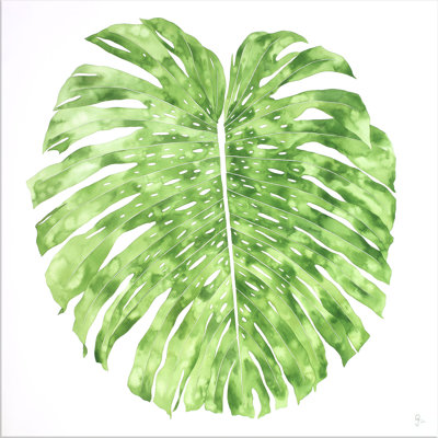 Monstera Verde Print by Jenny Kiker