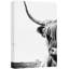 Animaux, noir, vache Shetland, blanc minimal sur toile-93629538-93629534
