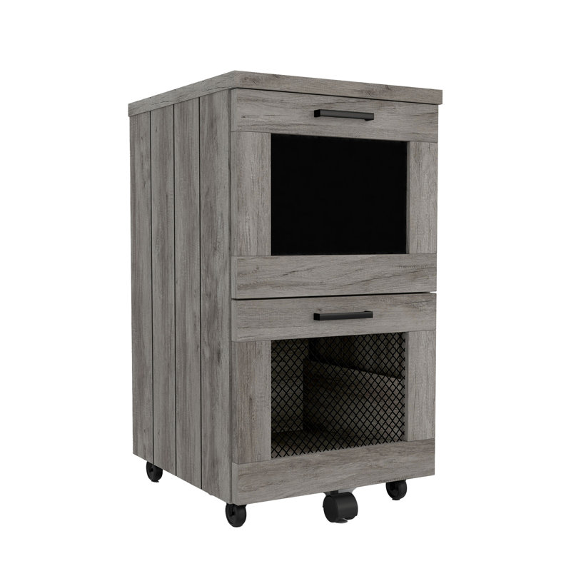 Kelesha Rustic Gray 2-drawer File Cabinet