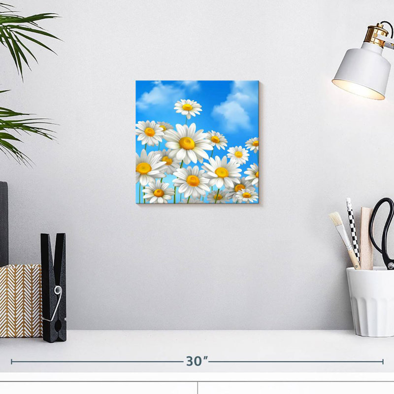 Marguerites bleu ciel Harnek, H 10 po x l 10 po