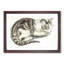 Cat by Johan Teyler - Framed Print-55621427-55621428