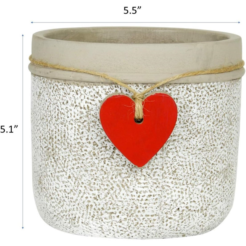 Kushamvir Pot Planter, 5" H x 5.50" W x 5.50" D