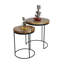Apolla 2 Piece Nest of Tables
