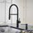 Catris Flexo Semi-Pro Pull-Down Dual-Spray Kitchen Faucet-69515592