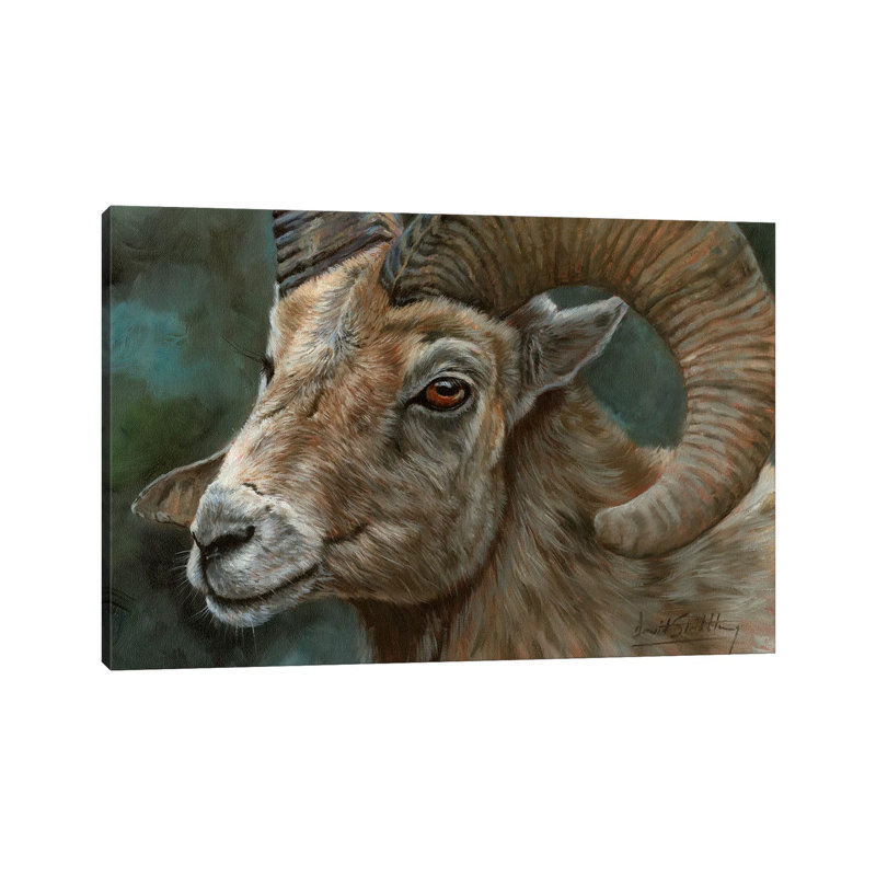 Portrait Of A Bighorn Sheep by David Stribbling - Wrapped Canvas Gallery-Wrapped Canvas Giclée