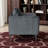 Velvet Accent Chair with Channel Tufting - Contemporary Elegance-576730941