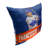 Reversible Pillow Cover