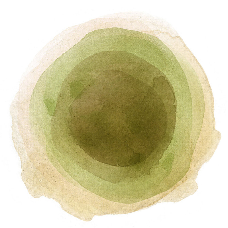 «Alyn Abstract Stain Watercolors» par - peinture sur toile tendue, H 12 po x l 12 po, Vert / rose