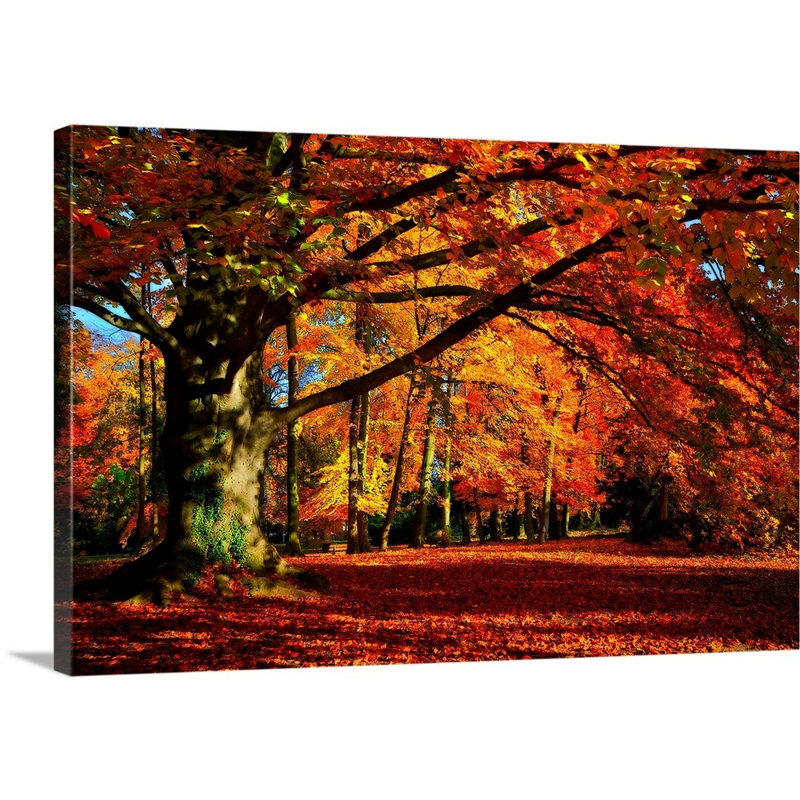 « the tree », reproduction de photo sur toile, H 32 po x l 48 po x P 1,5 po