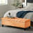 Storage Bench-1843876319