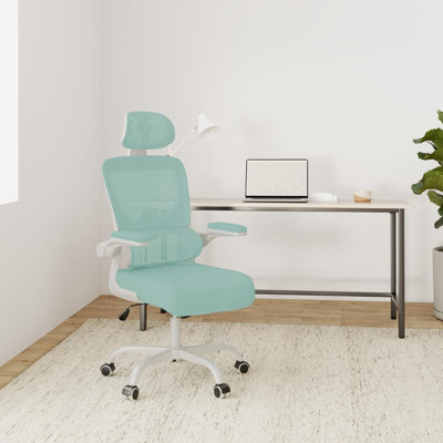 Motonobu Ergonomic Office Chair with Mesh Lumbar Support
