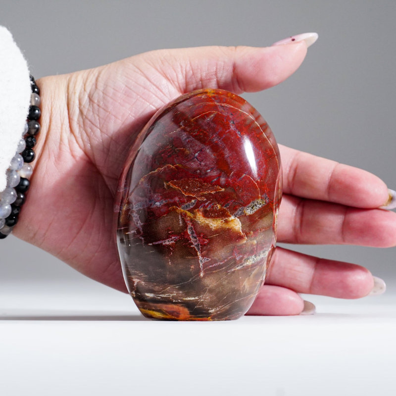 Polished Petrified Wood Freeform from Madagascar (1.1 Lbs)