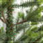 Arbre de Noël artificiel 9 pi avec base en acier et 4306 pointes-584105528-584105534