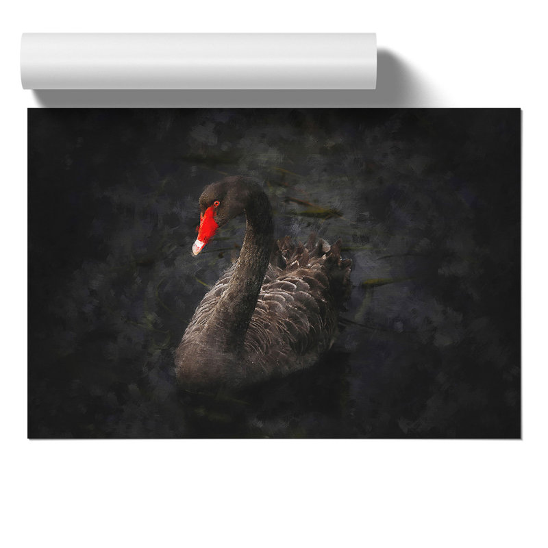 Black Swan - No Frame Painting, 42cm H x 59cm W x 0.1cm D