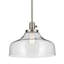 Luminaire suspendu 1 lumière 11,25 po-1461560163