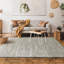 Skandar Solid Colour Hand Woven Area Rug-218067218