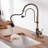Bolden CASAINC 1.8 GPM Spring Neck Pull Down Kitchen Faucet with Deck Plate-93965567