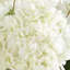 Uttermost Anastasia Hydrangea Centerpiece