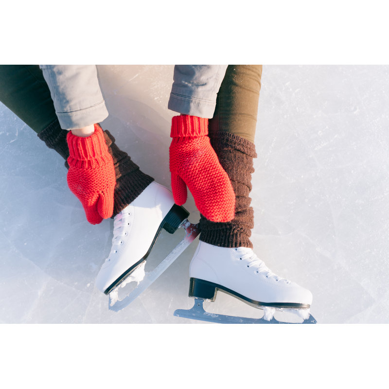 Ice Skates - Wrapped Canvas Print, 30cm H x 46cm W x 3.8cm D