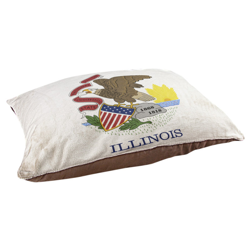 Coussin créateur pavillon illinois Burien, Marron foncé, L 32,5 po x l 42,5 po