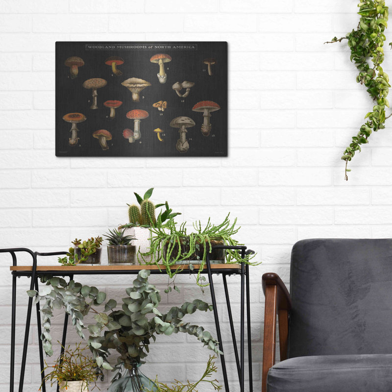 «Mushroom charte I» par Wild Apple Po