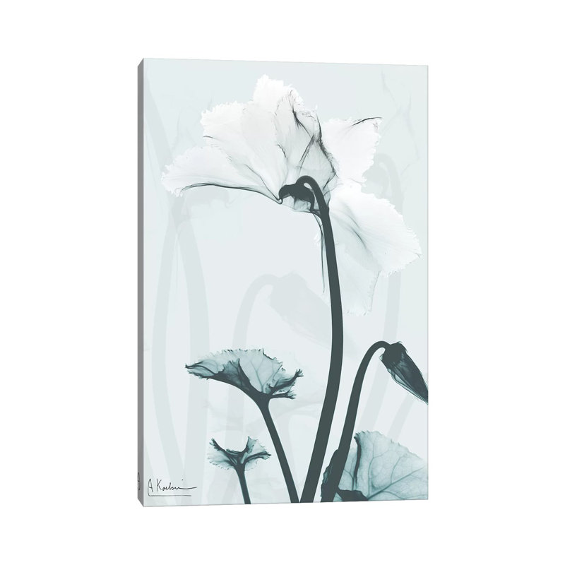Desired Cyclamen II by Albert Koetsier - Wrapped Canvas Print, 20.32 cm H x 30.48 cm W