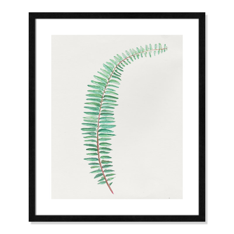Delicate Botanical II '- Reproduction d'art sur papier encadrée, H 25,5 po x l 21,5 po x P 0,75 po