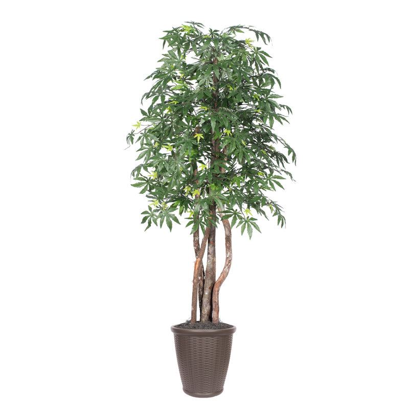 Érable artificiel en pot 72 po, Brun