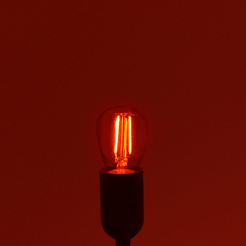0.5 Watt S14 LED Colored String Light Bulb, E26/Medium (Standard) Base, 6