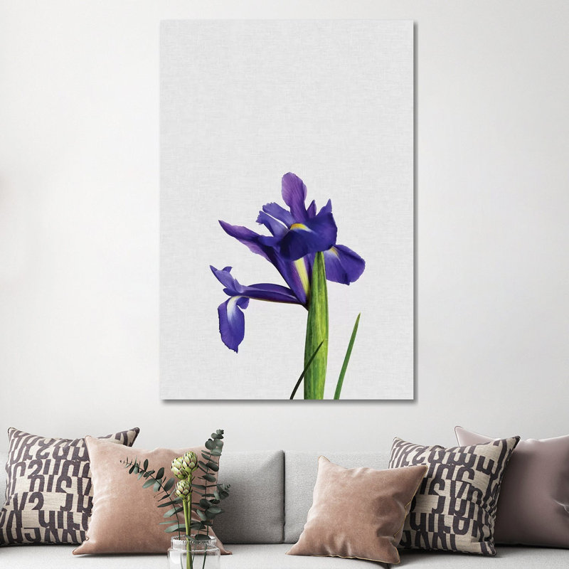 Iris - Wrapped Canvas Print, 152.5 cm H x 101.5 cm W