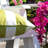 Josephine Striped Outdoor Reversible Throw Pillow-988225352-984580242