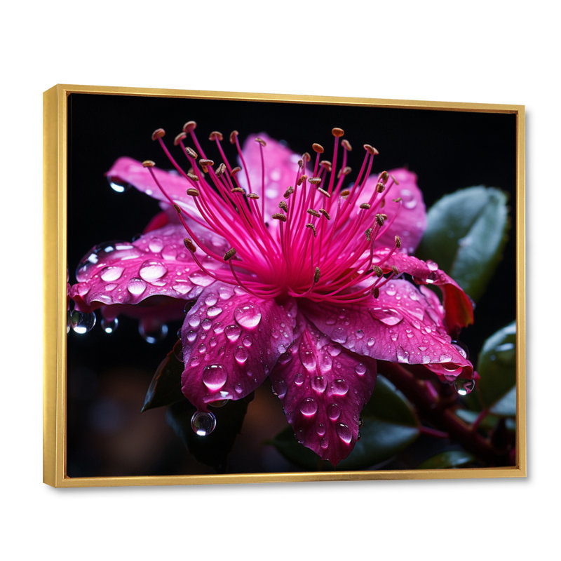 " Fuschia Vivacious Flowers I ", H 24 po x l 32 po x P 1 po, Cadre flottant doré